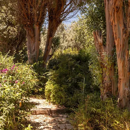 Maison Cerramica Gulf St Tropez Villa *